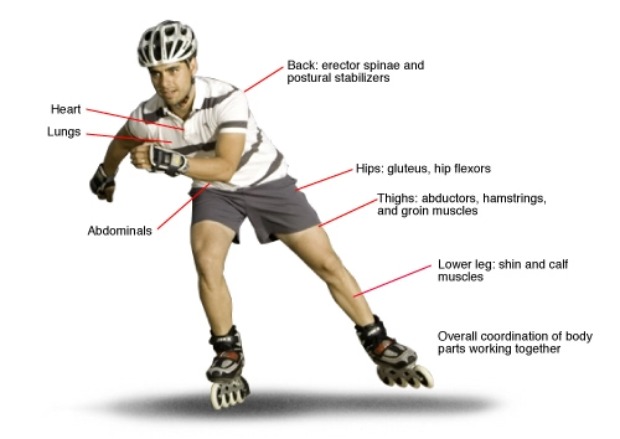 Muscle development for roller skates